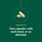 Standard Process Fen-Cho Digestive & Gut Health Supplement - 90 Capsules - image 5