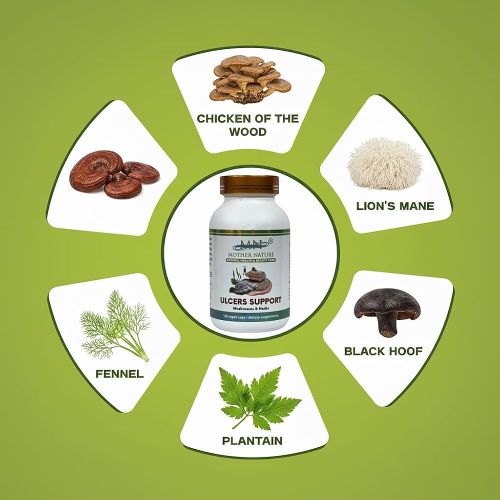 Mn Mother Nature Ulcers Support Mushroom - 120 Vegan Capsules - image 2
