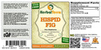 Herbal Terra LLC Hispid Fig (Ficus Simplicissima) Tincture