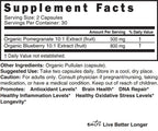 Nature's Fusions Blueberry Pomegranate 1300mg Organic - 60 Capsules - image 4