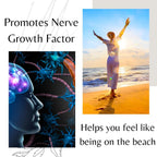 BioImmune Organic Lion's Mane Supplement Brain Support - 120 Capsules - image 4
