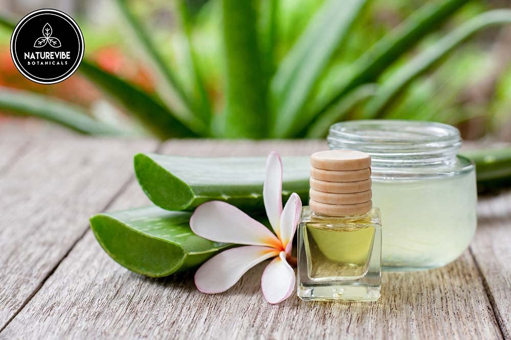 Naturevibe Botanicals Aloe Vera Oil - 32 Fl Oz - image 5