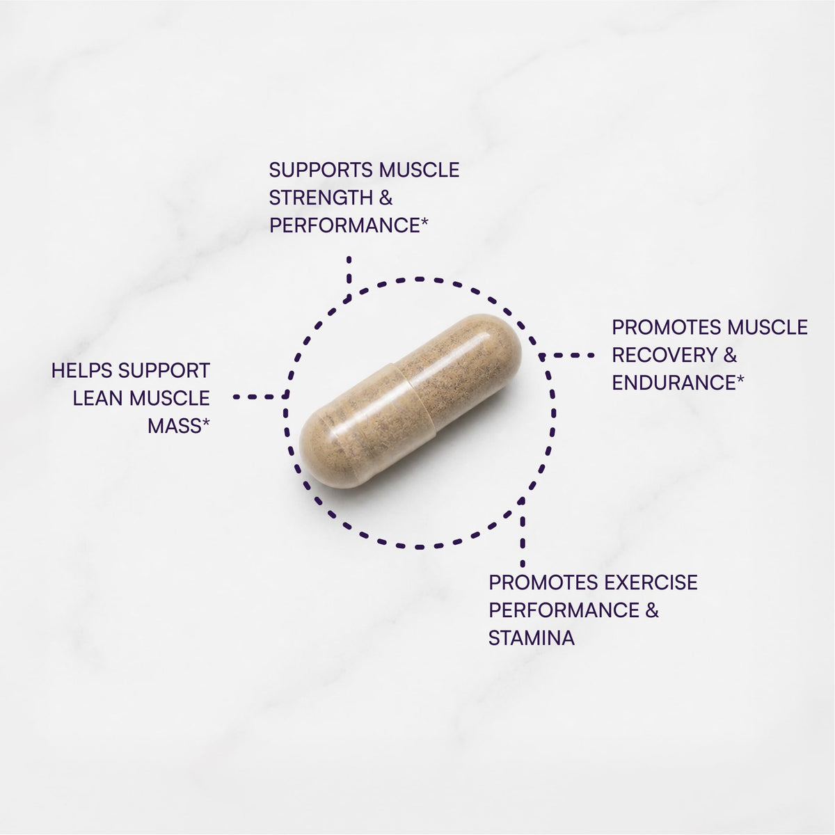 Purity Products Muscle Accelerator 650 mg Patented & Clinically