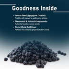 minature Jamun Seed Tablets - 90 Tablets - image 2