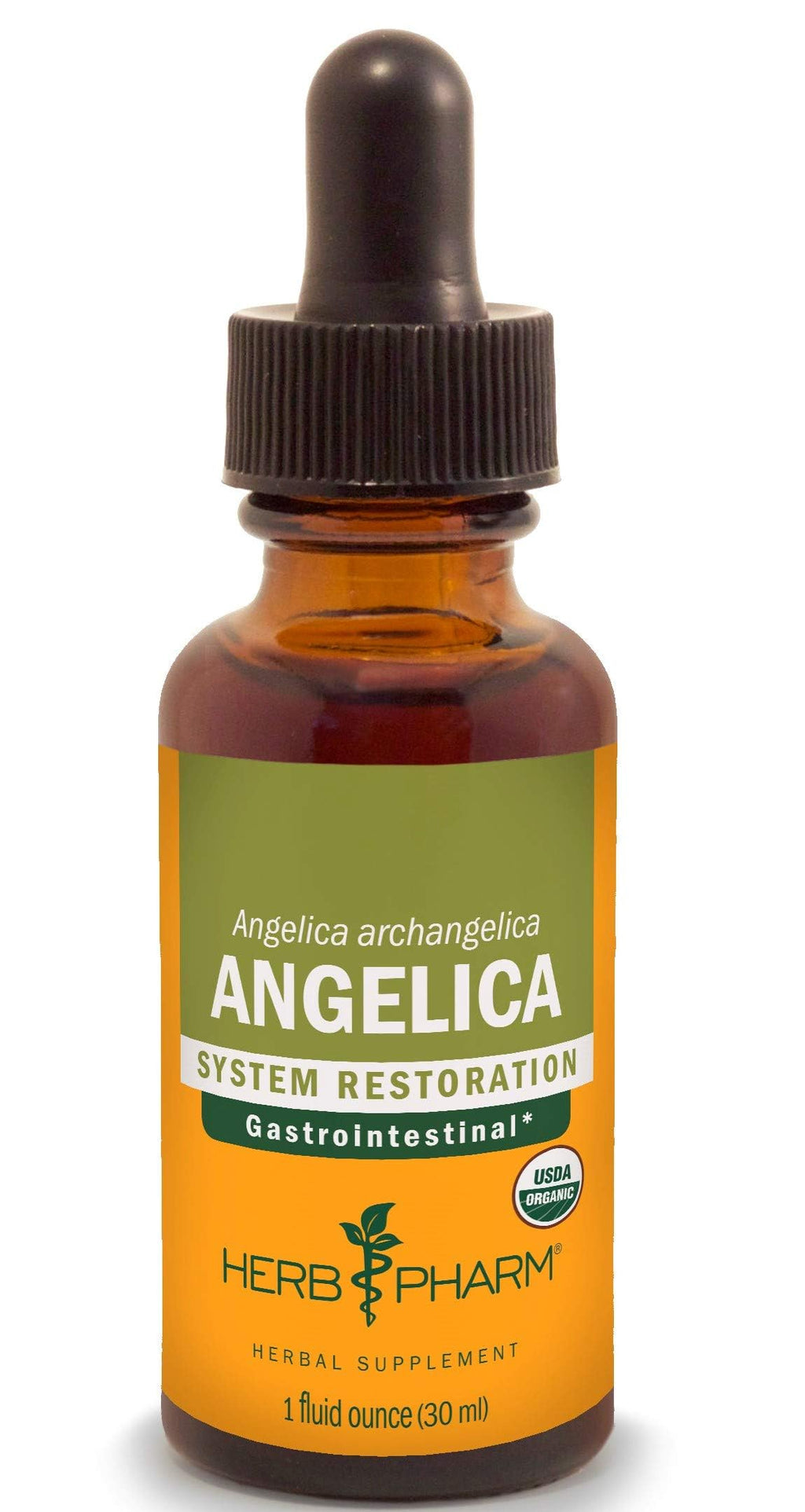 Herb Pharm Angelica Root Liquid Extract for Digestive Support - 1 Fl Oz