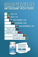 Alkaline for Life Relieve + Repair Quercetin Antioxidant Complex
