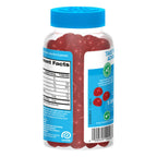 Digestive Advantage Prebiotic Fiber Gummies + Probiotics for Gut