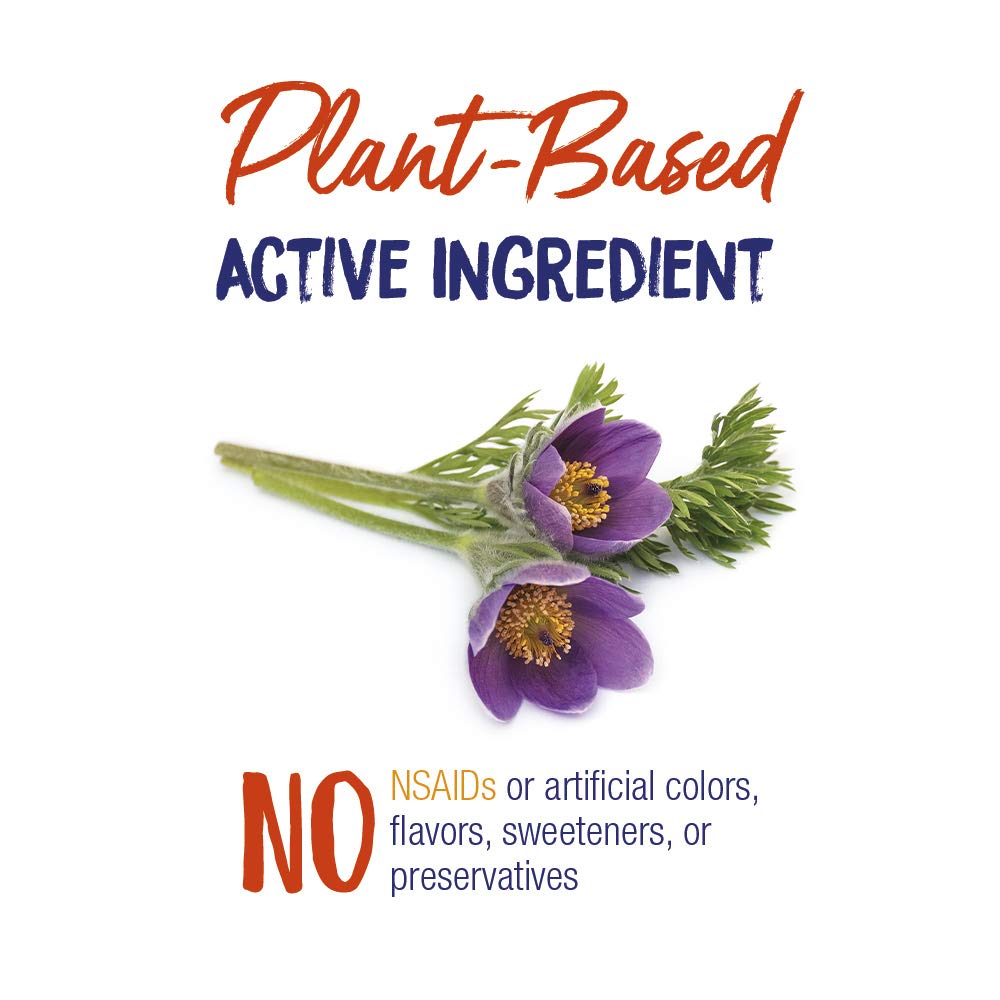 Boiron Pulsatilla 30C Homeopathic Medicine - 3 Tubes (240 Pellets) - image 4