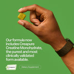 VYBRANCE LABS Creatine Monohydrate Gummies 5g - 120 Count - image 3