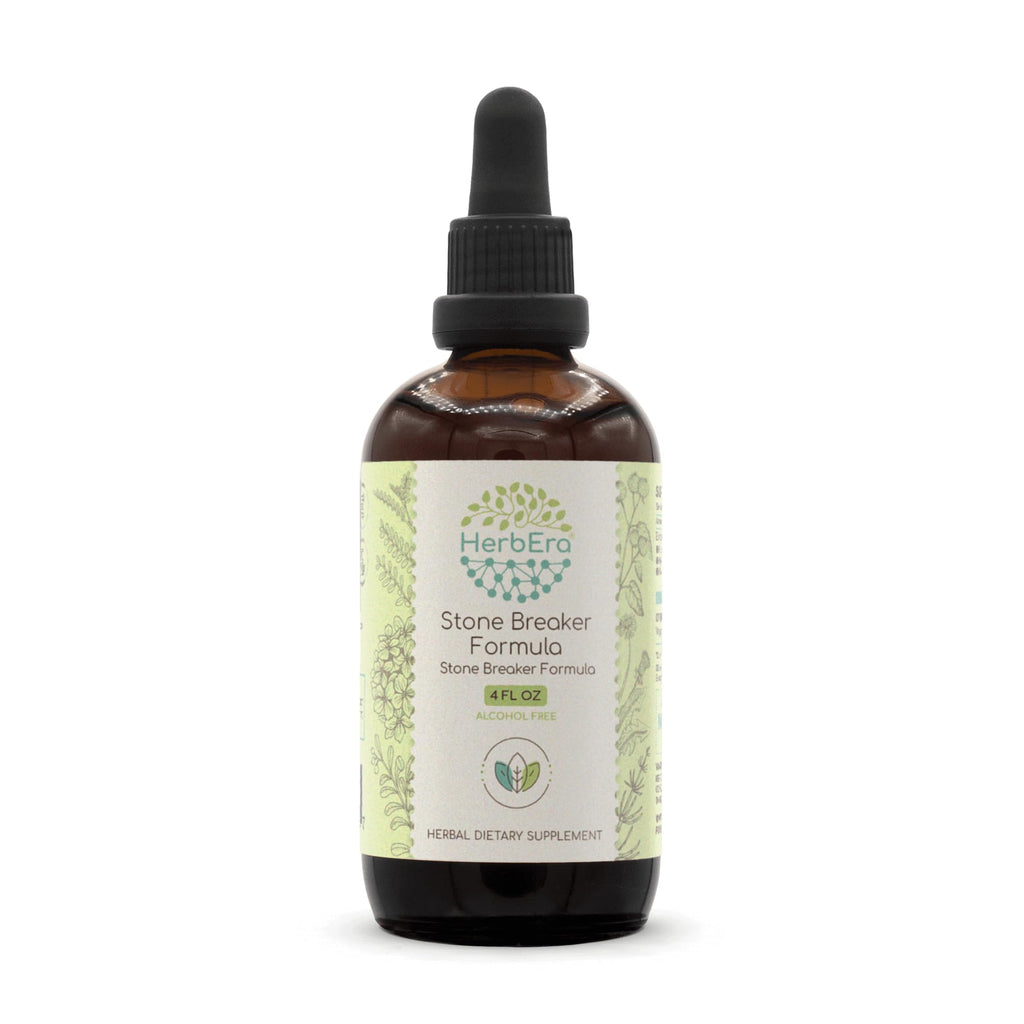 HerbEra Stone Breaker Formula Alcohol-Free Extract Tincture: