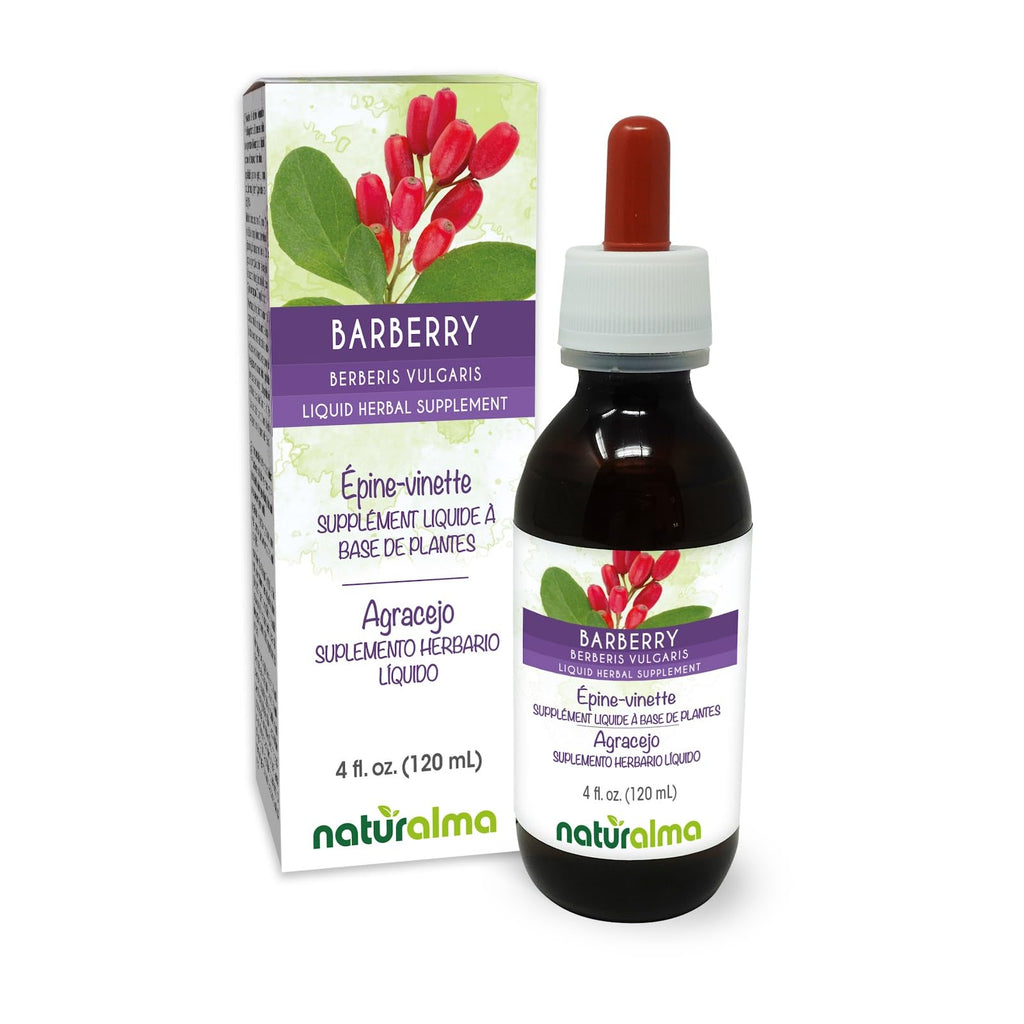 Naturalma Barberry Root Bark Alcohol-Free Tincture - 4 fl oz