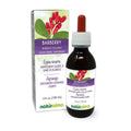 Naturalma Barberry Root Bark Alcohol-Free Tincture - 4 fl oz