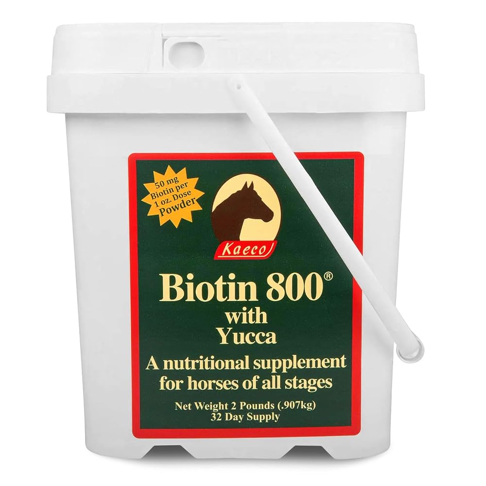 Kaeco Biotin 800 Powder - 2 lbs