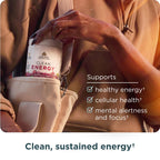Ancient Nutrition Clean Energy Powder Strawberry Kiwi - 4.3 oz - image 5