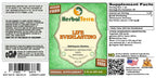 Herbal Terra LLC Life Everlasting (Helichrysum stoechas) Tincture