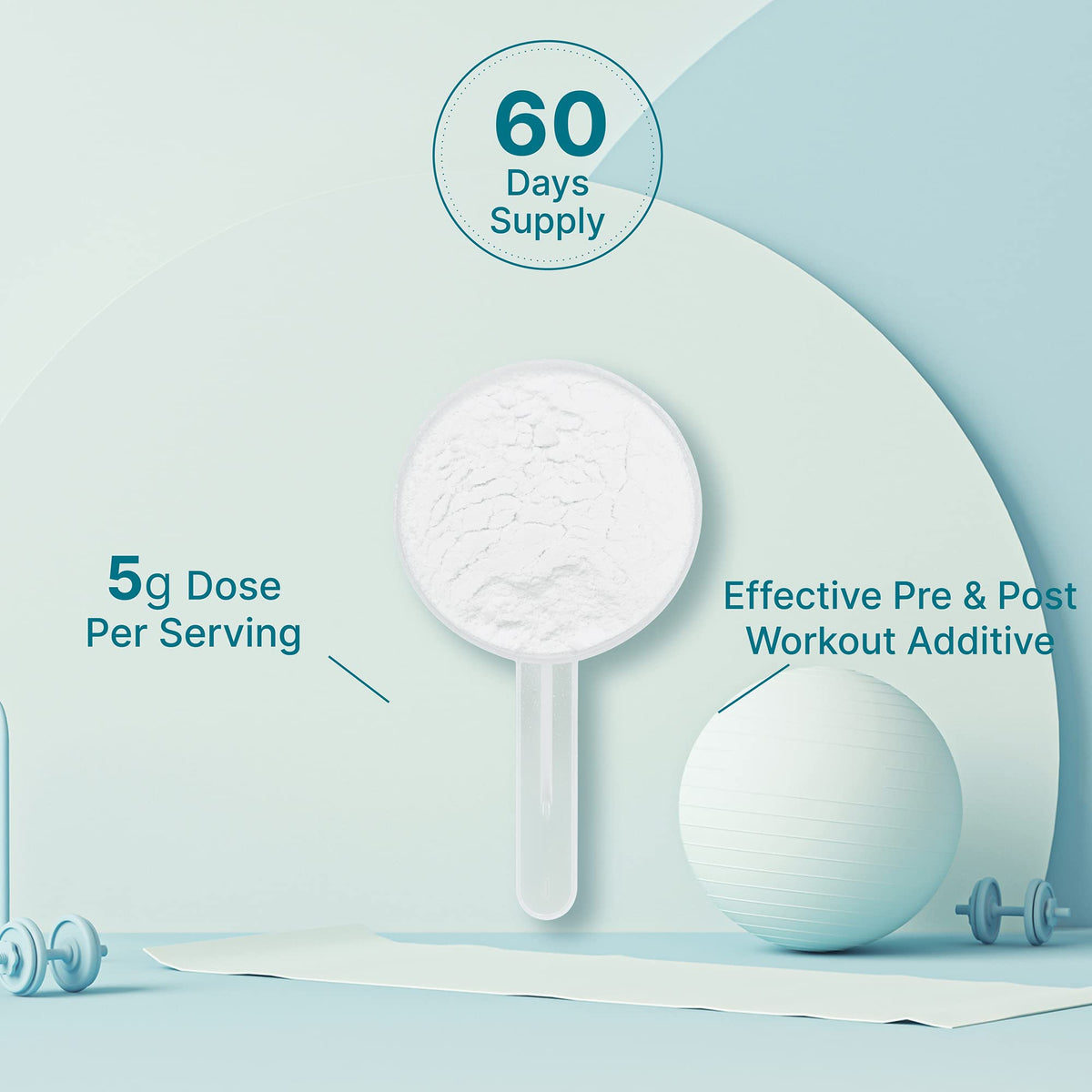 Deal Supplement BA DS Creatine Parent