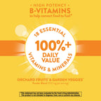 Nature's Way Alive! Daily Energy Multivitamin - 120 Tablets - image 6