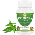 Morsan Healthcare Kalmegha Andrographis Paniculata Capsules - 60 Vegan Capsules