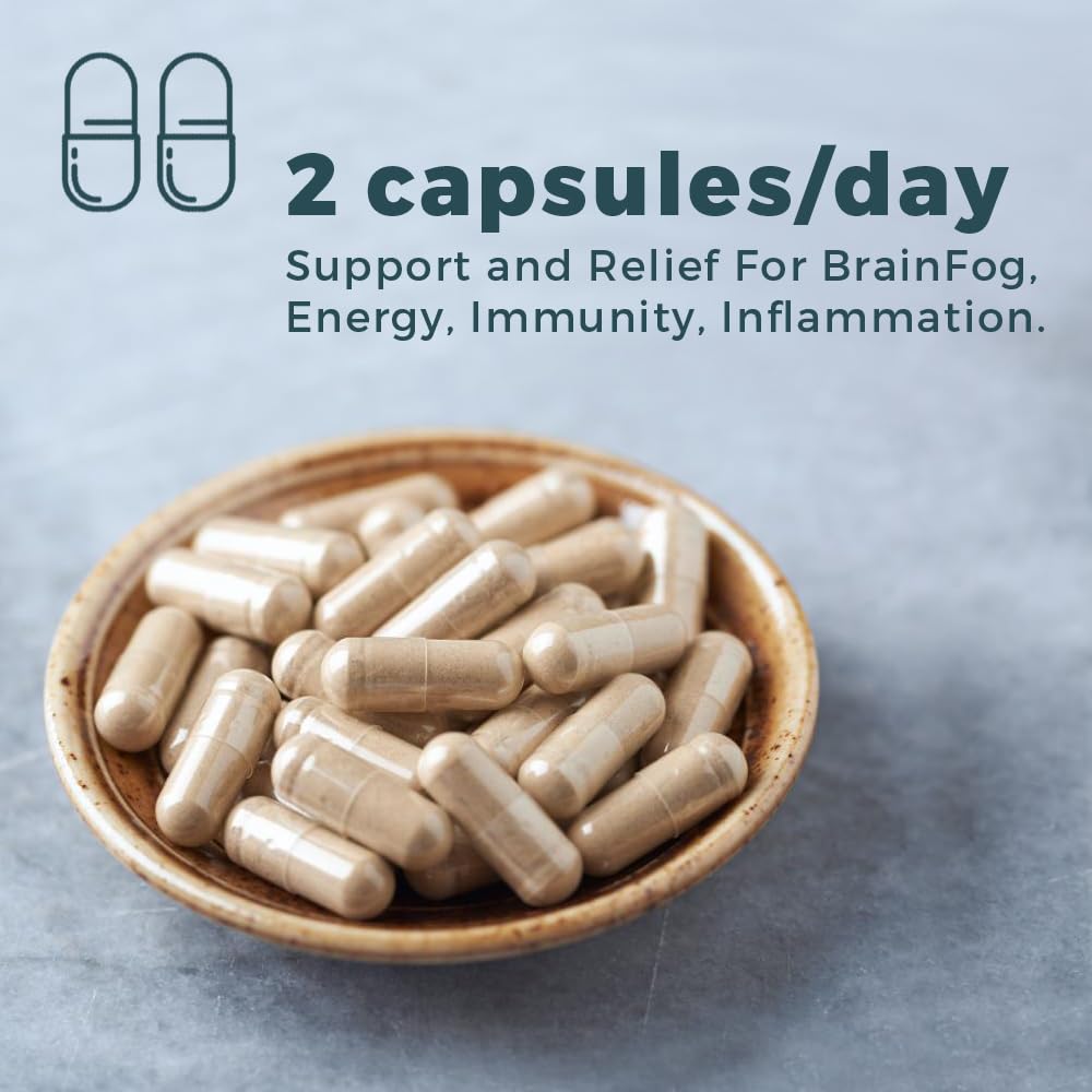 Science Based Labs Olivium Immune Support - 60 Capsules - image 5