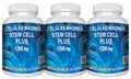 Madre Cell Plus Celulas Madres 1000 mg Stem Cell - 180 Capsules