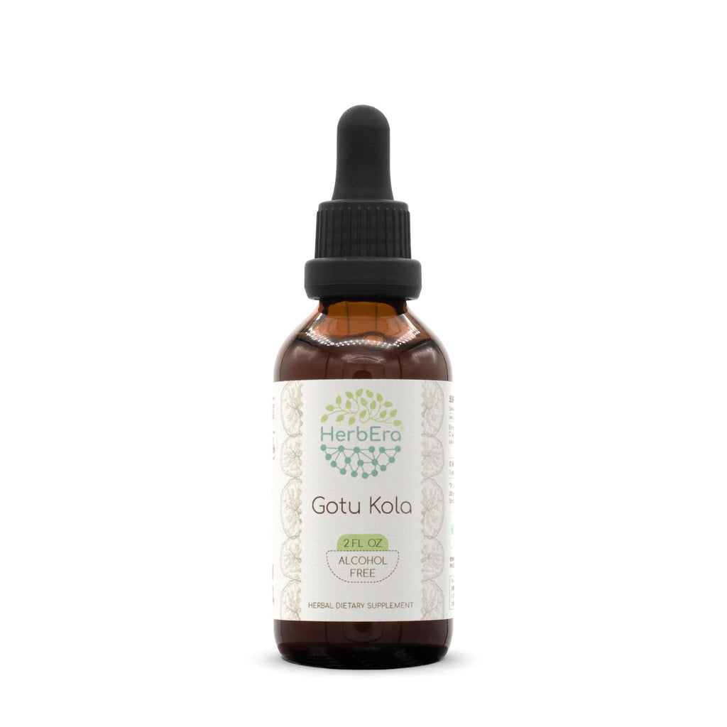 HerbEra Gotu Kola Tincture Alcohol-Free Herbal Extract