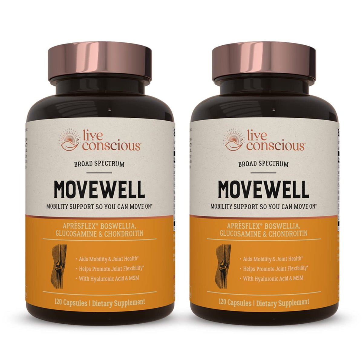 Live Conscious MoveWell - Parent