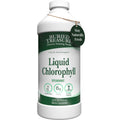 Buried Treasure Liquid Chlorophyll 100 mg Digestive Support - 32 Fl Oz