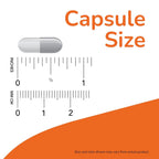 NOW Calm & Focus with Zembrin & GABA - 60 Vegetarian Capsules - image 3