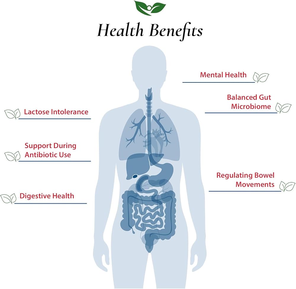 Foods For Gut Lactobacillus Acidophilus Probiotic Powder - 60g - image 4