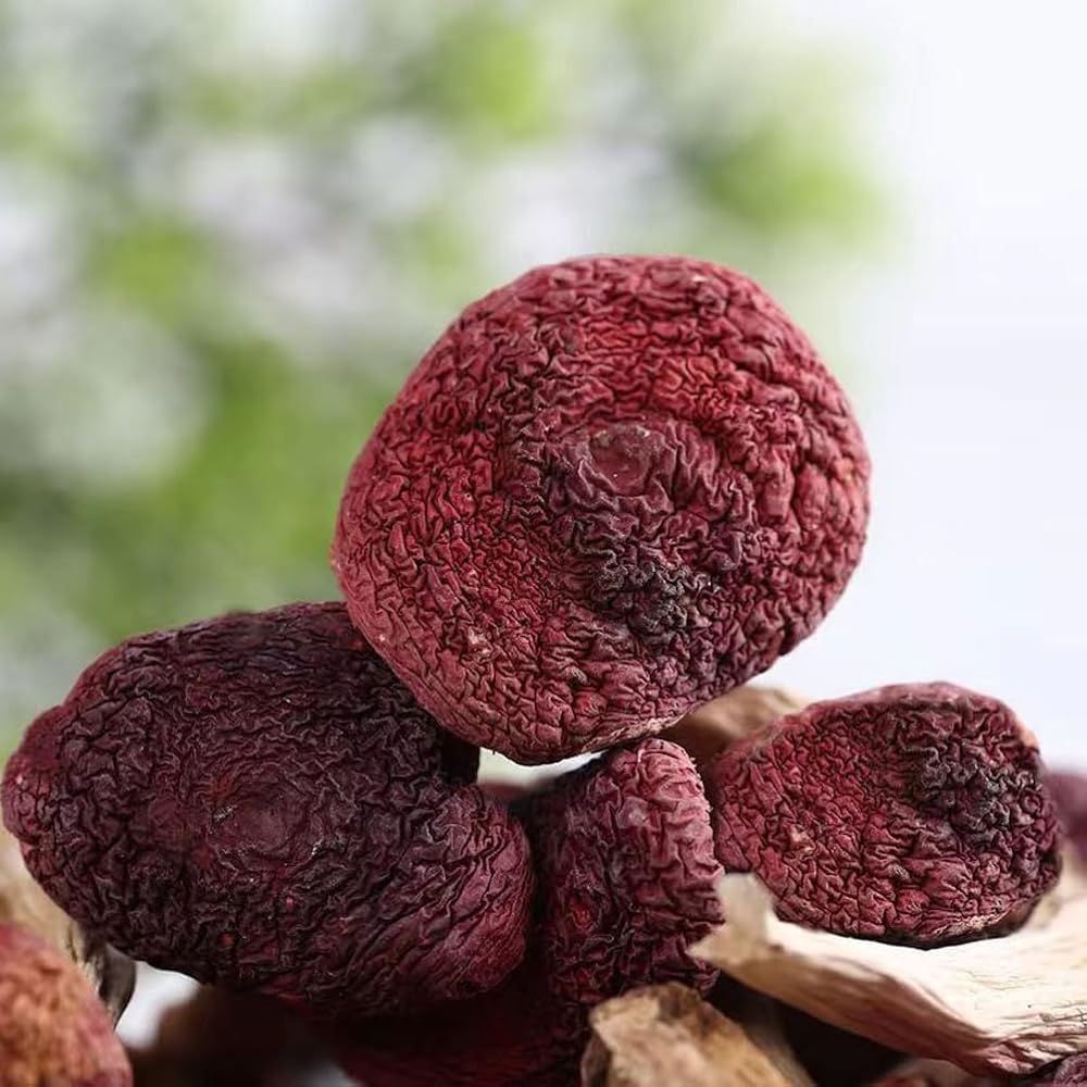 CHLYAET Dried Russula Red Mushroom Honggu - 100g - image 5