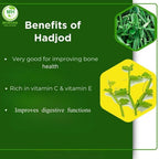 Morsan Healthcare Hadjod Cissus Quadrangularis 500mg - 120 Capsules - image 4