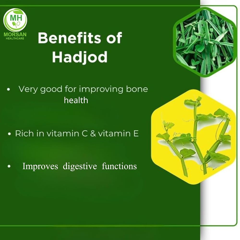 Morsan Healthcare Hadjod Cissus Quadrangularis 500mg - 120 Capsules - image 4