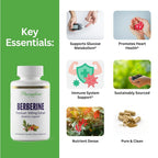 Paradise Herbs Berberine Extract 500 mg - 180 Capsules - image 6