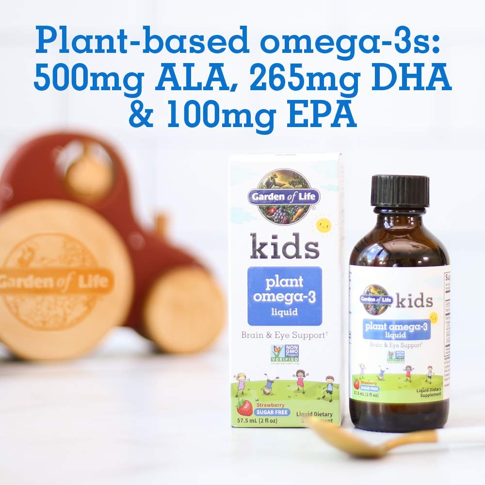 Garden of Life Kids Plant Omega-3 Liquid Strawberry - 2 Fl Oz - image 3