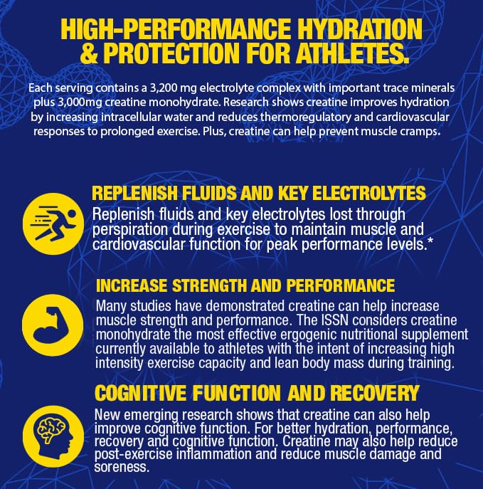 Maximum Human Performance av2025-Maximum Human Performance-mhp Impact