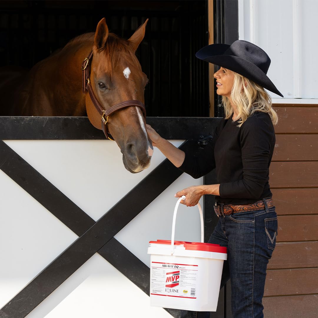 MVP Air-Way EQ Lung Support for Horses - 5lb - image 7
