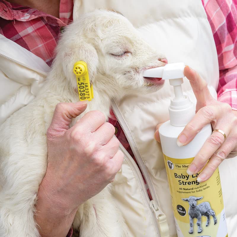Premier 1 Supplies Baby Lamb Strength Nutritional Supplement - 1 Count - image 5