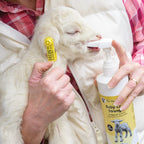 Premier 1 Supplies Baby Lamb Strength Nutritional Supplement - 1 Count - image 5