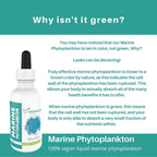 Vegan Life Nutrition Marine Phytoplankton Liquid - 1.89 Fl Oz - image 3