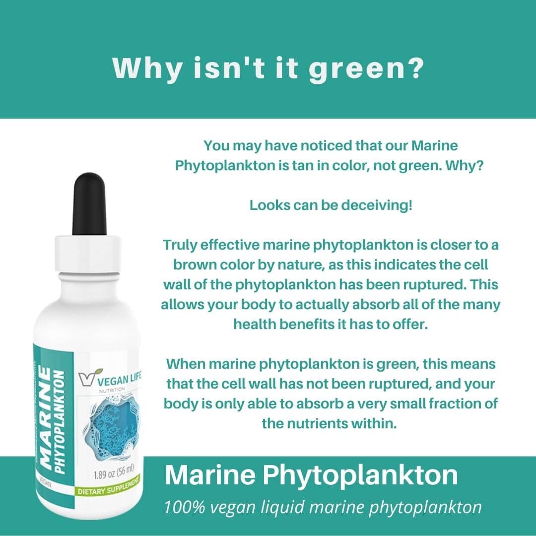 Vegan Life Nutrition Marine Phytoplankton Liquid - 1.89 Fl Oz - image 3