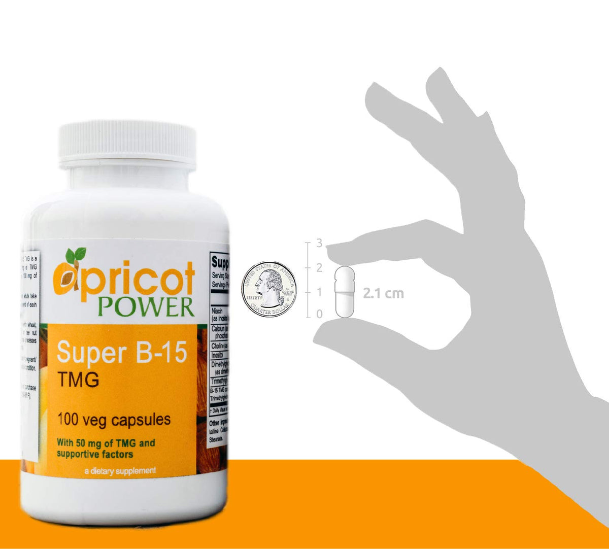 Apricot Power Super B-15 Pangamic Acid - 100 Vegetarian Capsules - image 5