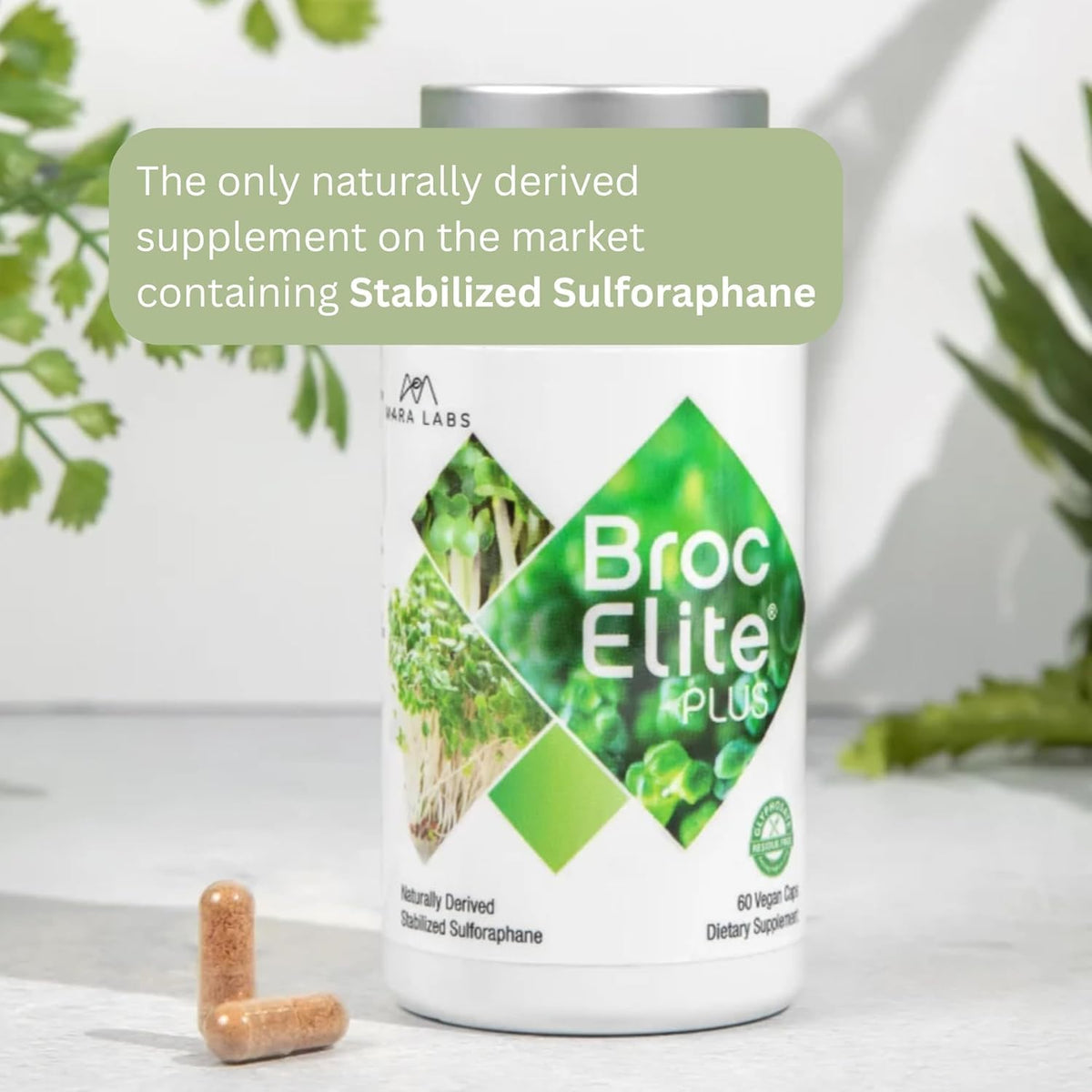 BrocElite Plus™ Broccoli Sulforaphane Extract Supplement for Immune