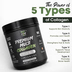 Impact Total Fitness Multi Collagen Peptides Powder - 30 Servings - image 3