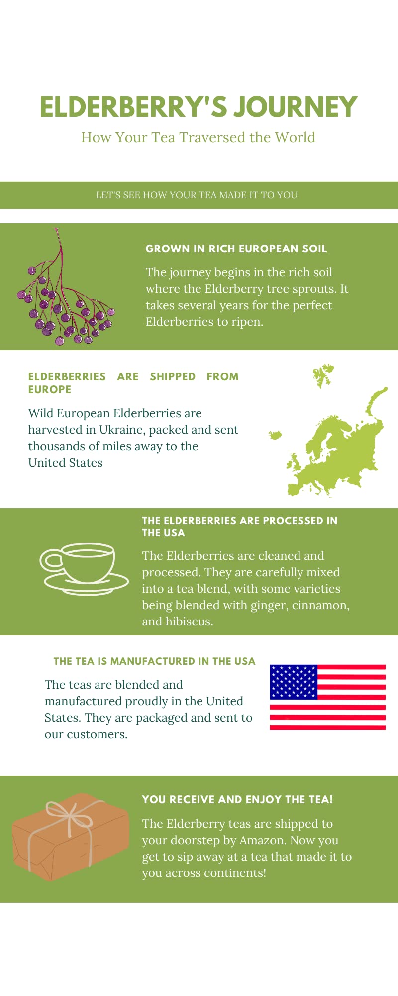 Nature Wanted Elderberry Herbal Superfood Blend Tea - 15 Tea Bags - image 4