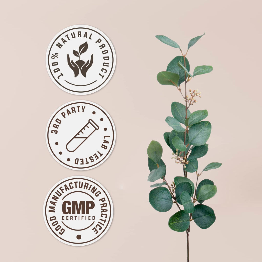 Garden Organics Guarana Alcohol-Free Natural Tincture Extract