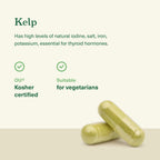 Complete Natural Products Icelandic Sea Kelp 600mg Thyroid Support - image 4