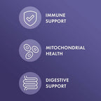 Dr. Mercola Full Spectrum Enzymes Digestive Support - 90 Capsules - image 3