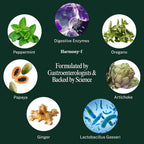 Harmony-1 GLP-1 Digestive Support - 60 Capsules - image 3
