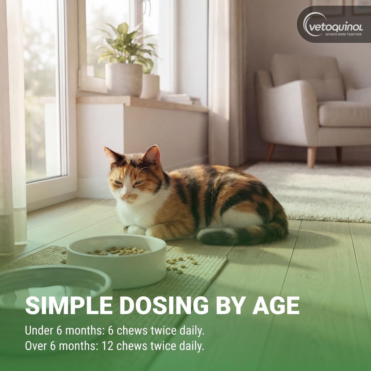Vetoquinol Enisyl-F Lysine Bites for Cats and Kittens - 6.4 oz - image 5
