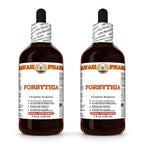 Hawaii Pharm Forsythia (Forsythia suspensa) Fruit Liquid Extract